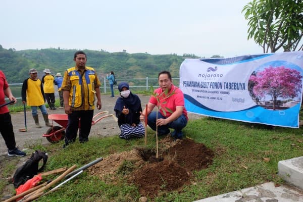 Nojorono Kudus Rayakan Hari Lingkungan Hidup Sedunia, Tanam BIbit Tabebuya Di Bendungan Logung